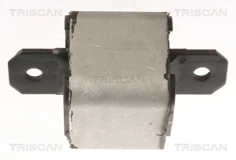 DB Подушка КПП/АКПП Sprinter 06-, Vito 03-, VW Crafter 06- TRISCAN 850510120