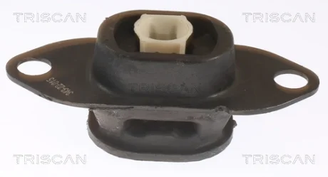 RENAULT Опора двигуна TRISCAN 850525116