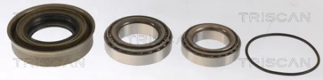 Комплект подшипника TRISCAN 853014114