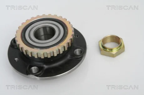 Комплект подшипника TRISCAN 853028216