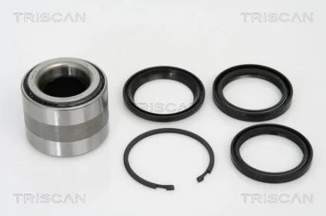 Комплект подшипника TRISCAN 853068203
