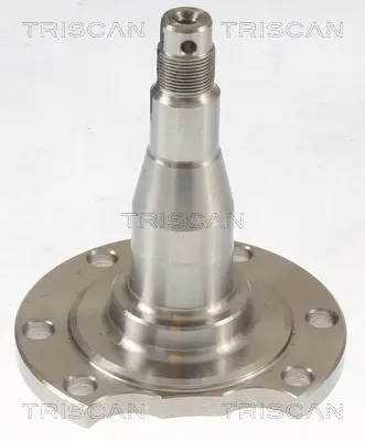 VW маточина задн. колеса Audi 100, A4/6, Caddy TRISCAN 853529010 (фото 1)