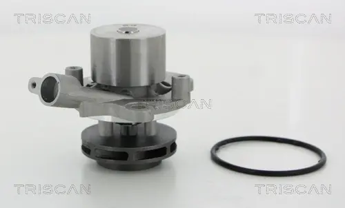 Насос TRISCAN 860029065 (фото 1)