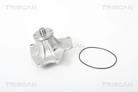 Насос TRISCAN 860042009