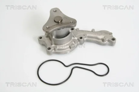 Насос TRISCAN 860042015