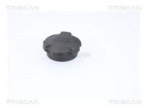 HYUNDAI кришка розширювального бачка HYUNDAI, KIA TRISCAN 861030 (фото 1)