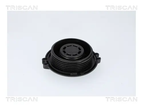 VW Запірна кришка бачка Audi A3, 8, Q2/3, Skoda Fabia III, Kodiaq, Fabia III, Octavia III, Rapid, SuperB III, Amarok, Caddy III, IV, Golf VII, Passat, Tiguan, Touran TRISCAN 861034 (фото 1)
