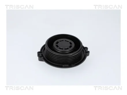 VW Запірна кришка бачка Audi A3, 8, Q2/3, Skoda Fabia III, Kodiaq, Fabia III, Octavia III, Rapid, SuperB III, Amarok, Caddy III, IV, Golf VII, Passat, Tiguan, Touran TRISCAN 861034