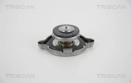 Деталь автомобиля. TRISCAN 86107
