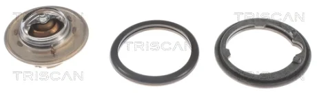 Термостат TRISCAN 862011582