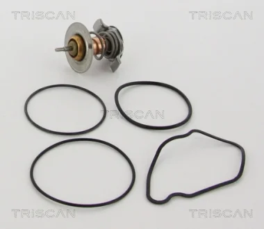 Термостат TRISCAN 862011792