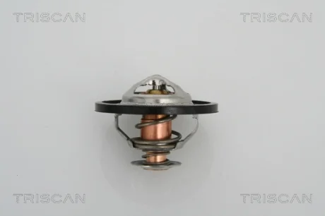 Термостат TRISCAN 862013591
