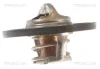 Датчик включения вентилятора Peugeot 92/88-97/92°C TRISCAN 8620 1875 (фото 2)