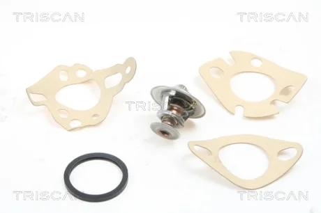 Термостат TRISCAN 86202182