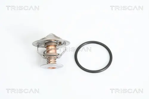 Термостат TRISCAN 862023482 (фото 1)