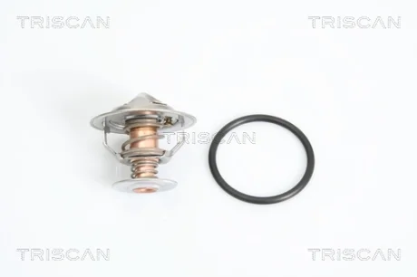Термостат TRISCAN 862023482