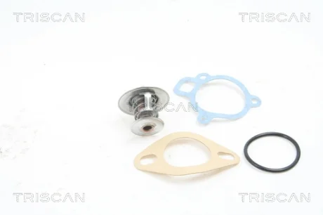 Термостат TRISCAN 8620 2391