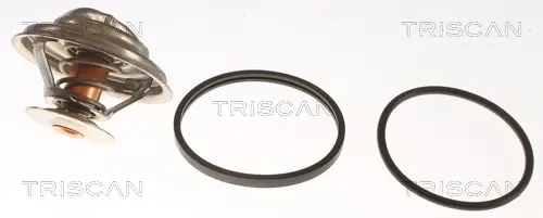 Термостат TRISCAN 86202591 (фото 1)