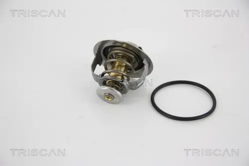 Термостат TRISCAN 862031695 (фото 1)