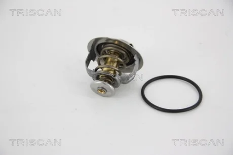Термостат TRISCAN 862031695