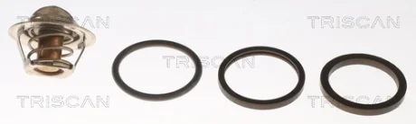 Термостат TRISCAN 86203982