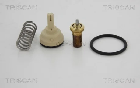 Термостат TRISCAN 862040080