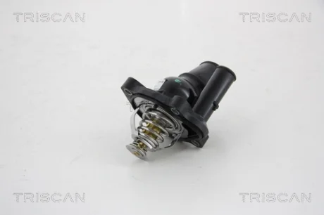 Термостат TRISCAN 862043182