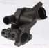 VW Термостат (в корпусі) GOLF PLUS V 1.4 06-, POLO V 1.4 09-, SKODA FABIA II 1.4 07-, OCTAVIA II 1.4 06-, SEAT IBIZA IV 1.4 10- TRISCAN 862051787 (фото 1)