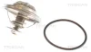 Термостат Bmw, Ford Galaxy /80C/VW Bora,Golf IV,Passat,T IV 2.3-2.8 V6 97/08- TRISCAN 8620 6382 (фото 1)