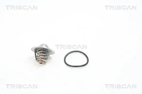 Термостат TRISCAN 86207191 (фото 1)