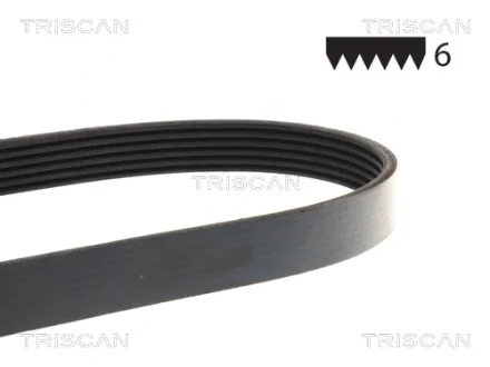Пасок поліклиновий 6PK1835/1836 TRISCAN 8640601835E