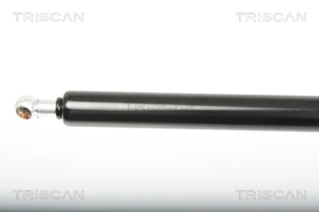 Газовая пружина TRISCAN 871025246