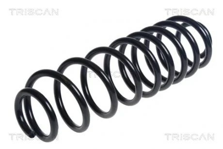 Пружина TRISCAN 875016155