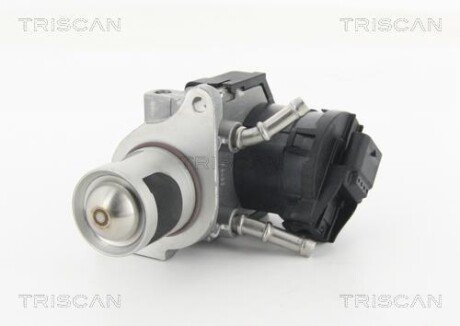 Клапан AGR BMW 1 E81/F20, 3 E90/F30, 5 F10, 5 E60, 3 F25, X5 E70 2.0d/3.0d 10.07- TRISCAN 881311001