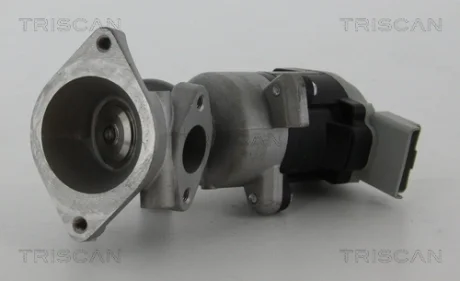 Клапан TRISCAN 881317020