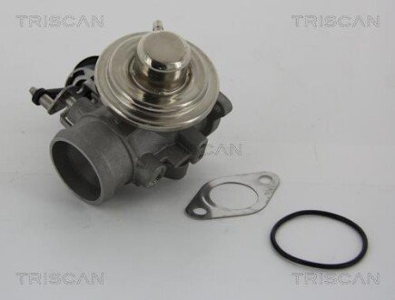 Клапан EGR Audi A3, VW Golf IV, 96-06 TRISCAN 881329001