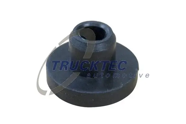Кільце ущільнювальне насоса омивача TRUCKTEC 0163006 (фото 1)