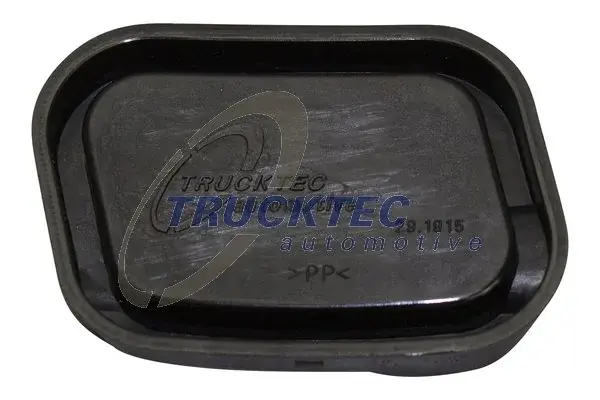 Пробка сливная маслянного піддона TRUCKTEC 02.10.101 (фото 1)