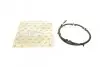 Шланг зливний BMW 3 (E90/F30/F80)/5 (F10)/X5 (E70/F15/F85) 06-18 N57 D30 AUTOMOTIVE TRUCKTEC 08.13.023 (фото 1)