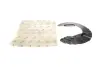 Захист диска гальмівного (переднього) (R) BMW X3 (F25)/X4 (F26) 11-18 B47/N20/N47/N55/N57 AUTOMOTIVE TRUCKTEC 08.35.280 (фото 1)