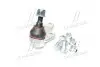 Кульова опора FORD/VOLVO Focus/C-Max/C30/C70/S40/V50 "F "D=21mm "04>> TRW JBJ740 (фото 4)