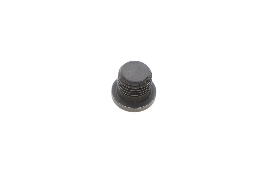 Пробка маслосливная VW/Audi/Skoda/Seat VAG N0160276 (фото 1)
