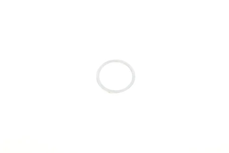 Ущільнююче кільце N0438092 VAG N 043 809 2
