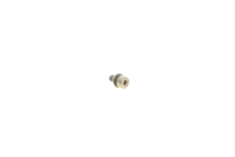 Болт M5X9 крышки топливного фильтра VW/Audi/Skoda/Seat VAG WHT001455