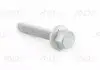 Болт з шестигранною голівкою (M12x1 VAG WHT002101 (фото 1)