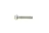 Болт шківа колінвалу Audi A4/A5/A6/A8/Q3/Q5/Q8/VW Golf/Passat 15- (M16x1.5x75) WHT009475 VAG WHT 009 475 (фото 3)