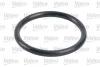 Фільтр паливний CARBODIES/FORD/LDV/LTI/NISSAN FX/Maverick/CUB/TX/Almera "1,7-4,0 "81>> Valeo 587702 (фото 4)