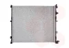 Радіатор охолодження двигуна BMW X5 G05 11/18+ Van Wezel 06012765 (фото 1)