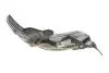 Підкрилок VAN WEZEL Van Wezel 4377435 (фото 6)