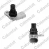 VERNET Датчик положения р.вала COMBO 1.6CDTI 12- Vernet CS0403 (фото 1)